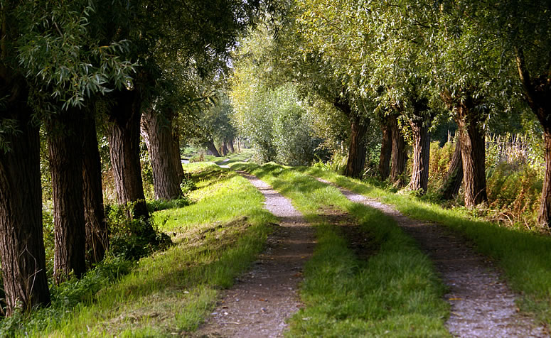 Beleveniswandeling
